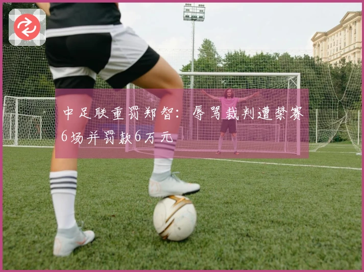 中足联重罚郑智：辱骂裁判遭禁赛6场并罚款6万元